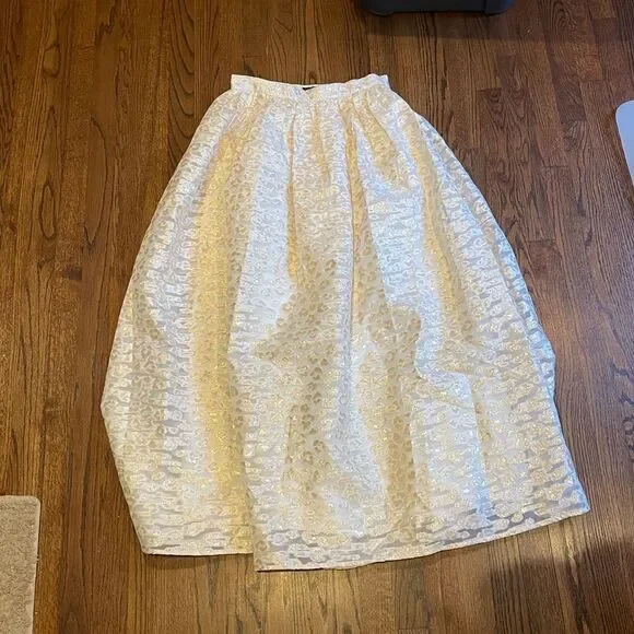 NWT Anthropologie Pankaj & Nidhi Burnout Shimmer Maxi Skirt Small #142 - Picture 5 of 6